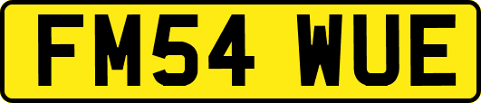 FM54WUE