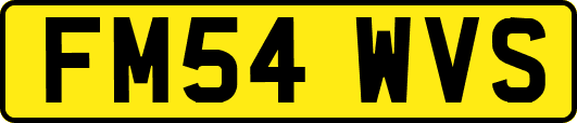 FM54WVS
