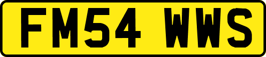 FM54WWS
