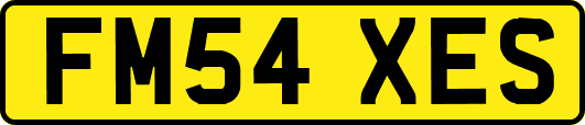FM54XES