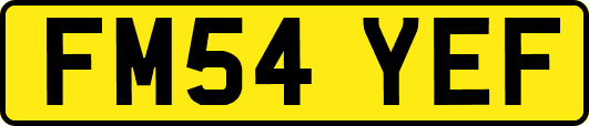 FM54YEF