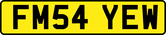 FM54YEW