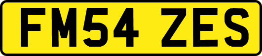 FM54ZES
