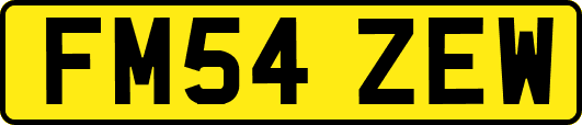 FM54ZEW