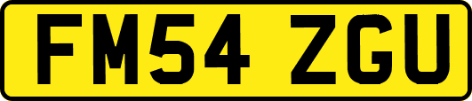 FM54ZGU