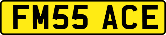 FM55ACE