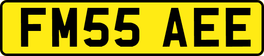 FM55AEE