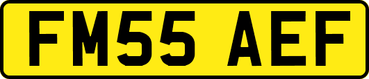 FM55AEF
