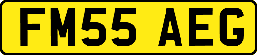 FM55AEG
