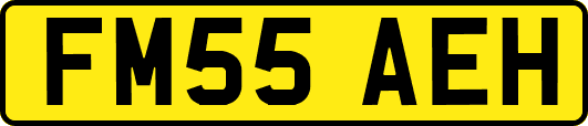 FM55AEH