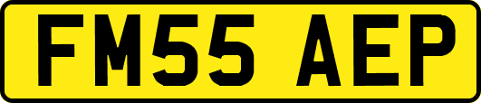 FM55AEP