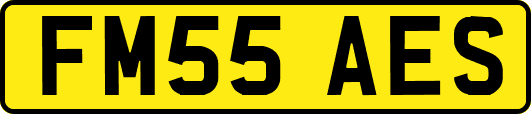 FM55AES