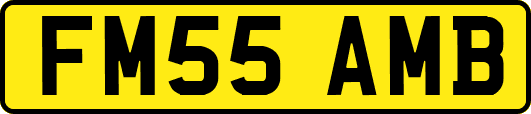 FM55AMB
