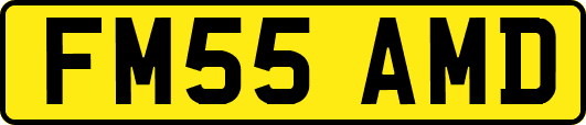 FM55AMD