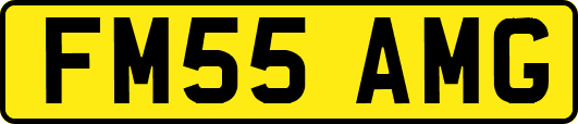 FM55AMG