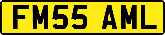FM55AML