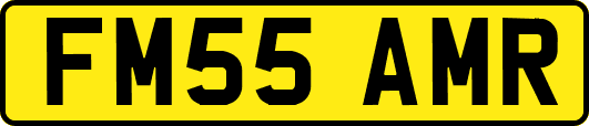 FM55AMR
