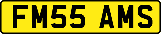 FM55AMS