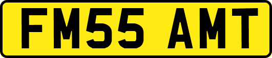 FM55AMT