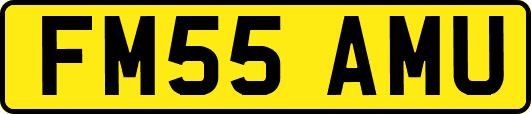 FM55AMU