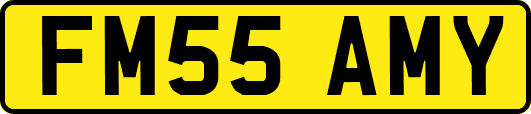 FM55AMY