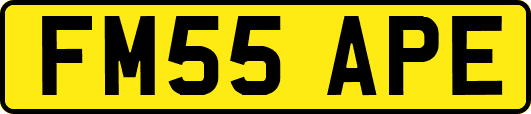 FM55APE