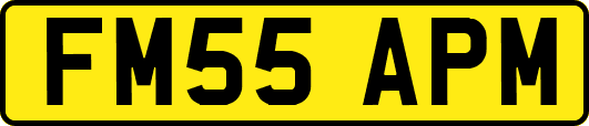 FM55APM
