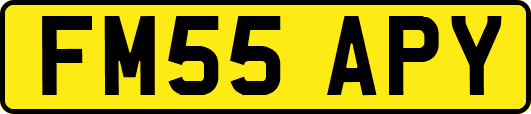 FM55APY