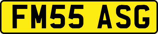 FM55ASG