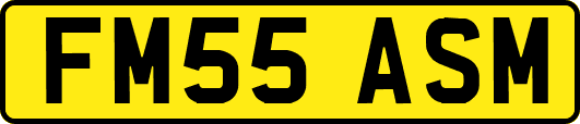 FM55ASM