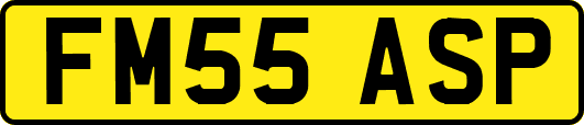 FM55ASP