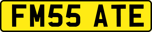 FM55ATE