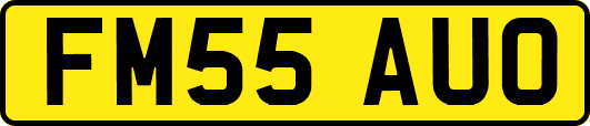 FM55AUO