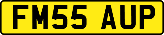 FM55AUP
