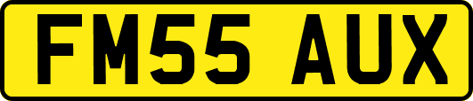 FM55AUX