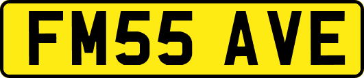 FM55AVE