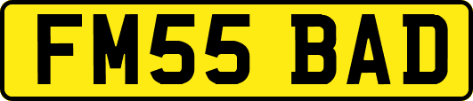 FM55BAD