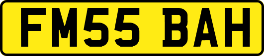 FM55BAH