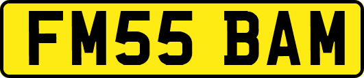FM55BAM