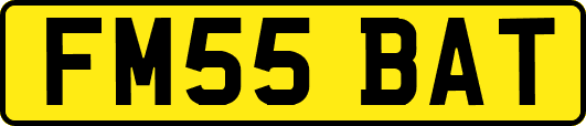 FM55BAT