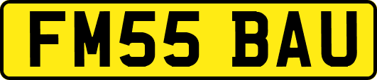 FM55BAU