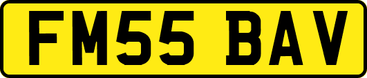 FM55BAV