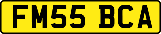 FM55BCA