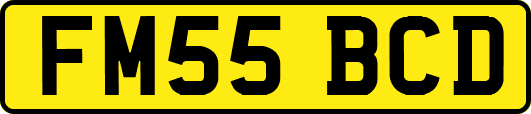 FM55BCD