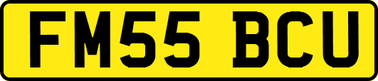 FM55BCU