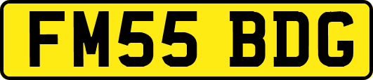 FM55BDG
