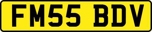 FM55BDV