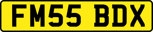 FM55BDX