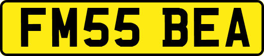 FM55BEA