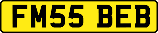 FM55BEB